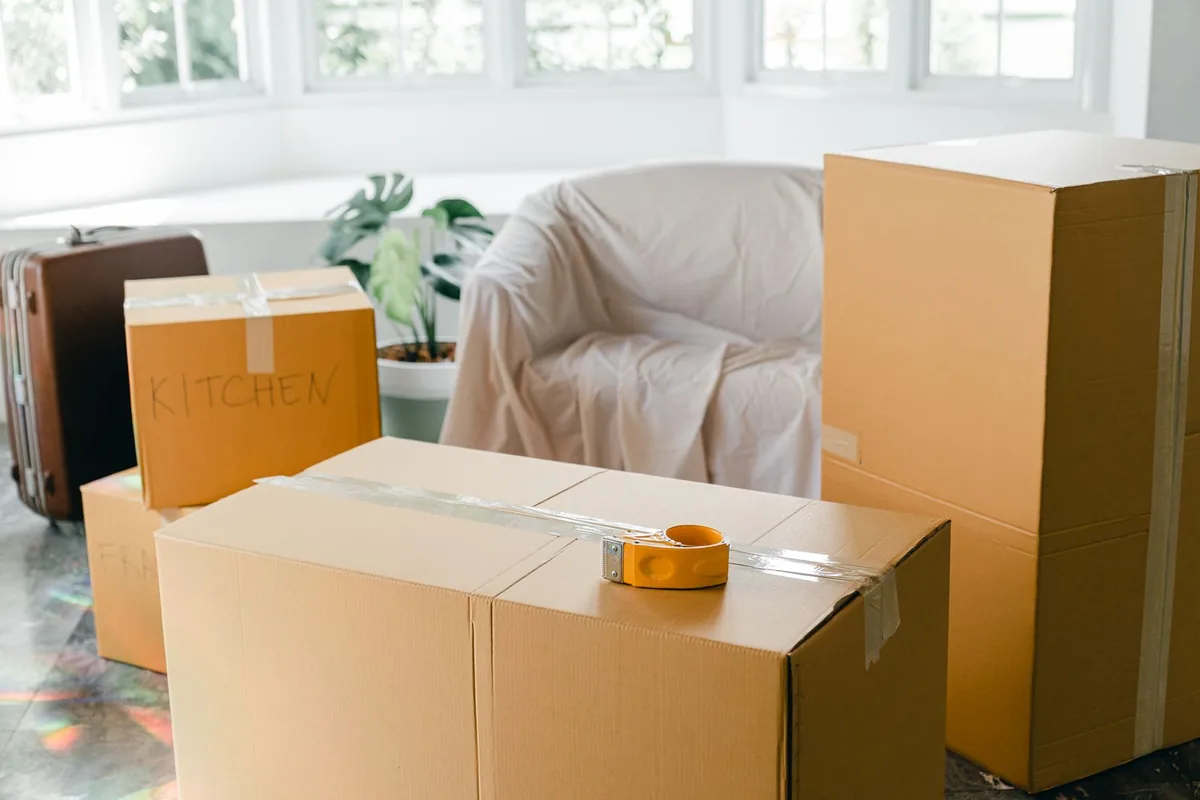 Hoarding Cleanup in Alto, CA